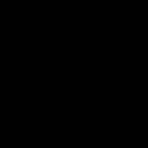 Meet your Posher, Zach